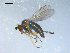  ( - 10PROBE-08195)  @14 [ ] CreativeCommons - Attribution (2011) CBG Photography Group Centre for Biodiversity Genomics