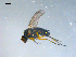  ( - 10PROBE-08230)  @13 [ ] CreativeCommons - Attribution (2011) CBG Photography Group Centre for Biodiversity Genomics