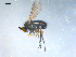  ( - 10PROBE-08242)  @13 [ ] CreativeCommons - Attribution (2011) CBG Photography Group Centre for Biodiversity Genomics