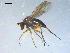  ( - 10PROBE-08246)  @14 [ ] CreativeCommons - Attribution (2011) CBG Photography Group Centre for Biodiversity Genomics