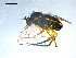  ( - 10PROBE-08255)  @13 [ ] CreativeCommons - Attribution (2011) CBG Photography Group Centre for Biodiversity Genomics