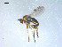  ( - 10PROBE-08269)  @13 [ ] CreativeCommons - Attribution (2011) CBG Photography Group Centre for Biodiversity Genomics