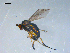  ( - 10PROBE-08284)  @13 [ ] CreativeCommons - Attribution (2011) CBG Photography Group Centre for Biodiversity Genomics