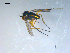  ( - 10PROBE-08292)  @13 [ ] CreativeCommons - Attribution (2011) CBG Photography Group Centre for Biodiversity Genomics