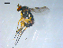  ( - 10PROBE-08301)  @13 [ ] CreativeCommons - Attribution (2011) CBG Photography Group Centre for Biodiversity Genomics