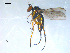  ( - 10PROBE-08304)  @13 [ ] CreativeCommons - Attribution (2011) CBG Photography Group Centre for Biodiversity Genomics