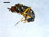  ( - 10PROBE-08321)  @14 [ ] CreativeCommons - Attribution (2011) CBG Photography Group Centre for Biodiversity Genomics