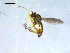  ( - 10PROBE-08330)  @12 [ ] CreativeCommons - Attribution (2011) CBG Photography Group Centre for Biodiversity Genomics