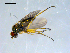  ( - 10PROBE-08332)  @13 [ ] CreativeCommons - Attribution (2011) CBG Photography Group Centre for Biodiversity Genomics