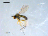  ( - 10PROBE-08334)  @13 [ ] CreativeCommons - Attribution (2011) CBG Photography Group Centre for Biodiversity Genomics