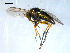  ( - 10PROBE-08339)  @13 [ ] CreativeCommons - Attribution (2011) CBG Photography Group Centre for Biodiversity Genomics