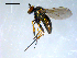 ( - 10PROBE-08351)  @12 [ ] CreativeCommons - Attribution (2011) CBG Photography Group Centre for Biodiversity Genomics