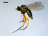  ( - 10PROBE-09119)  @13 [ ] CreativeCommons - Attribution (2011) CBG Photography Group Centre for Biodiversity Genomics