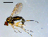  ( - 10PROBE-09123)  @14 [ ] CreativeCommons - Attribution (2011) CBG Photography Group Centre for Biodiversity Genomics