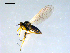  ( - 10PROBE-09159)  @13 [ ] CreativeCommons - Attribution (2011) CBG Photography Group Centre for Biodiversity Genomics