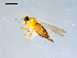  ( - 10PROBE-09163)  @12 [ ] CreativeCommons - Attribution (2011) CBG Photography Group Centre for Biodiversity Genomics