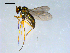  ( - 10PROBE-09180)  @12 [ ] CreativeCommons - Attribution (2011) CBG Photography Group Centre for Biodiversity Genomics