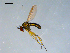  ( - 10PROBE-09181)  @14 [ ] CreativeCommons - Attribution (2011) CBG Photography Group Centre for Biodiversity Genomics