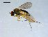  ( - 10PROBE-09182)  @13 [ ] CreativeCommons - Attribution (2011) CBG Photography Group Centre for Biodiversity Genomics
