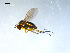  ( - 10PROBE-09187)  @13 [ ] CreativeCommons - Attribution (2011) CBG Photography Group Centre for Biodiversity Genomics