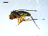  ( - 10PROBE-09188)  @12 [ ] CreativeCommons - Attribution (2011) CBG Photography Group Centre for Biodiversity Genomics