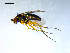  ( - 10PROBE-09193)  @13 [ ] CreativeCommons - Attribution (2011) CBG Photography Group Centre for Biodiversity Genomics