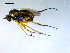  ( - 10PROBE-09194)  @13 [ ] CreativeCommons - Attribution (2011) CBG Photography Group Centre for Biodiversity Genomics