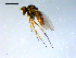  ( - 10PROBE-09195)  @13 [ ] CreativeCommons - Attribution (2011) CBG Photography Group Centre for Biodiversity Genomics