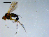  ( - 10PROBE-09201)  @13 [ ] CreativeCommons - Attribution (2011) CBG Photography Group Centre for Biodiversity Genomics