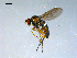  ( - 10PROBE-09210)  @13 [ ] CreativeCommons - Attribution (2011) CBG Photography Group Centre for Biodiversity Genomics