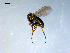  ( - 10PROBE-09212)  @13 [ ] CreativeCommons - Attribution (2011) CBG Photography Group Centre for Biodiversity Genomics