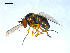  ( - 10PROBE-09213)  @13 [ ] CreativeCommons - Attribution (2011) CBG Photography Group Centre for Biodiversity Genomics