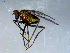  ( - 10PROBE-09224)  @11 [ ] CreativeCommons - Attribution (2011) CBG Photography Group Centre for Biodiversity Genomics