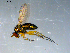  ( - 10PROBE-09262)  @14 [ ] CreativeCommons - Attribution (2011) CBG Photography Group Centre for Biodiversity Genomics