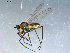  ( - 10PROBE-09297)  @13 [ ] CreativeCommons - Attribution (2011) CBG Photography Group Centre for Biodiversity Genomics