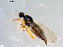  ( - 10PROBE-09049)  @12 [ ] CreativeCommons - Attribution (2011) CBG Photography Group Centre for Biodiversity Genomics