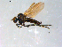  ( - 10PROBE-09078)  @13 [ ] CreativeCommons - Attribution (2011) CBG Photography Group Centre for Biodiversity Genomics