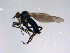  ( - 10PROBE-11362)  @13 [ ] CreativeCommons - Attribution (2011) CBG Photography Group Centre for Biodiversity Genomics
