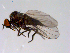  ( - 10PROBE-11363)  @12 [ ] CreativeCommons - Attribution (2011) CBG Photography Group Centre for Biodiversity Genomics