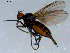  ( - 10PROBE-08426)  @13 [ ] CreativeCommons - Attribution (2011) CBG Photography Group Centre for Biodiversity Genomics