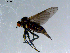  ( - 10PROBE-08475)  @12 [ ] CreativeCommons - Attribution (2011) CBG Photography Group Centre for Biodiversity Genomics