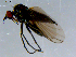  ( - 10PROBE-08476)  @12 [ ] CreativeCommons - Attribution (2011) CBG Photography Group Centre for Biodiversity Genomics