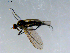 ( - 10PROBE-08481)  @12 [ ] CreativeCommons - Attribution (2011) CBG Photography Group Centre for Biodiversity Genomics