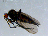 ( - 10PROBE-08485)  @12 [ ] CreativeCommons - Attribution (2011) CBG Photography Group Centre for Biodiversity Genomics