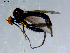  ( - 10PROBE-08494)  @13 [ ] CreativeCommons - Attribution (2011) CBG Photography Group Centre for Biodiversity Genomics
