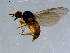  ( - 10PROBE-08495)  @12 [ ] CreativeCommons - Attribution (2011) CBG Photography Group Centre for Biodiversity Genomics