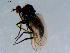  ( - 10PROBE-08512)  @13 [ ] CreativeCommons - Attribution (2011) CBG Photography Group Centre for Biodiversity Genomics