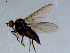  ( - 10PROBE-08513)  @13 [ ] CreativeCommons - Attribution (2011) CBG Photography Group Centre for Biodiversity Genomics