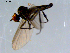 ( - 10PROBE-08521)  @12 [ ] CreativeCommons - Attribution (2011) CBG Photography Group Centre for Biodiversity Genomics