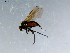  ( - 10PROBE-08538)  @12 [ ] CreativeCommons - Attribution (2011) CBG Photography Group Centre for Biodiversity Genomics